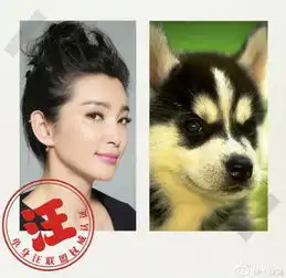  李冰冰模仿狗狗表情笑侃仍是单身汪光棍节跟狗过