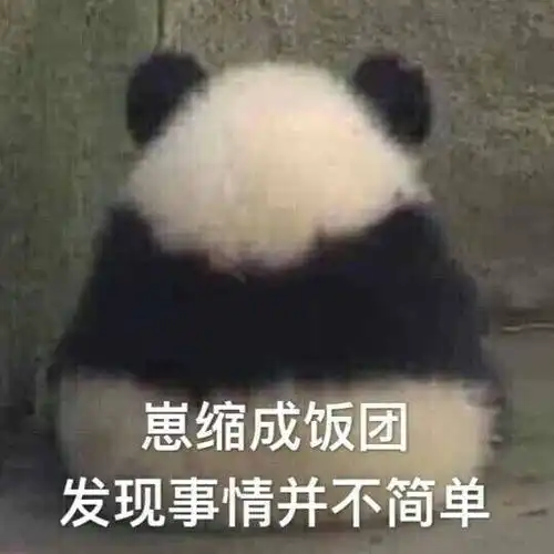  毛笋真是一只从小就爱卡树的熊猫宝宝