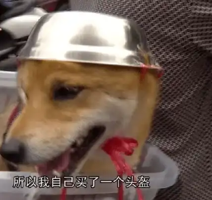  外卖里的虾,当谁瞎呢吧