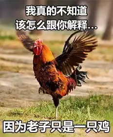  表情包下载我不知道该怎么跟你解释表情包9p极光下载站