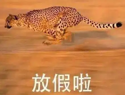  挺住啊马上就放假了噗哈哈哈哈忍不住了哈哈哈哈