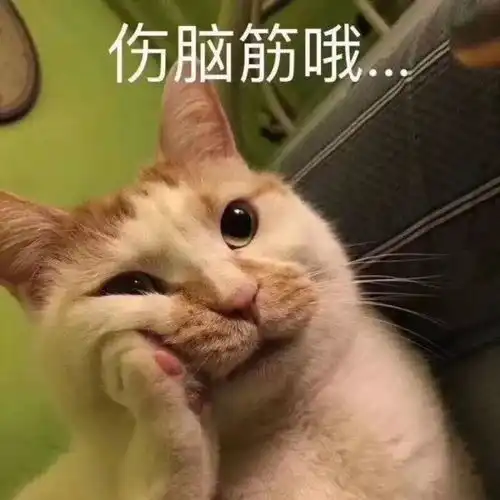  靳东为什么叫鞋东哈哈哈笑劈叉了
