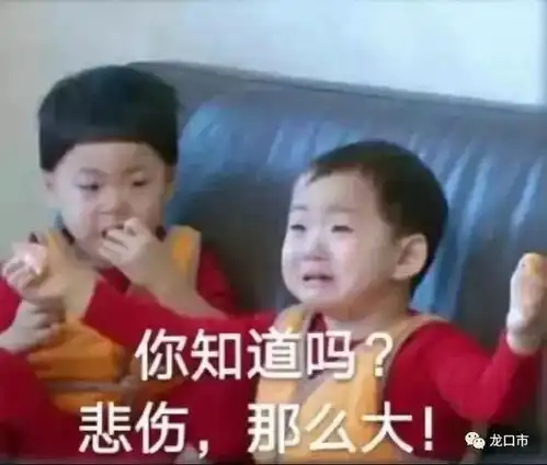  天气大反转荆州春节前连下4天雪除夕当天竟然
