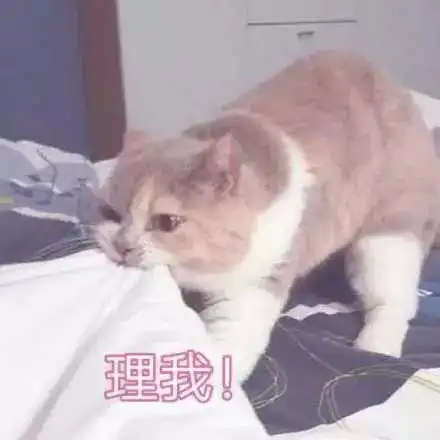  分享给你们一些撩小哥哥的表情包