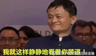  医加医供应链金融和马云同乘一部电梯,你会和他说什么网友答案已笑喷一个杭州佬,一不小心创建了一个目前市值全球第二十三的经济体,用富可敌国来形容马云完全可以