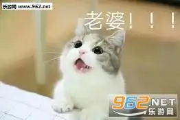 老婆表情包图片可爱英文