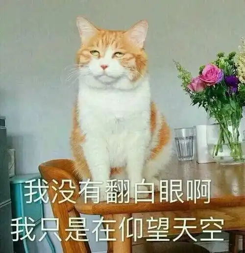 无奈无语的表情包图片无