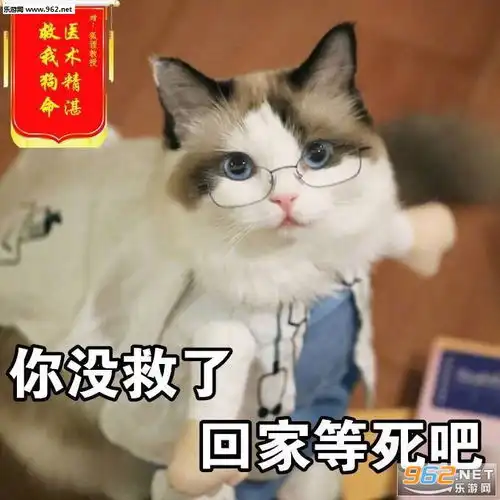  你懂我的意思吧什么梗表情包图片我原本可以过得很快乐是没钱害了我表情包图片下载乐游网游戏下载