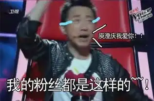 中国好声音表情包图片