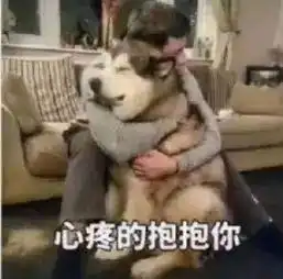  每日表情丨差不多就回来吧