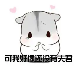  仓鼠夫妻