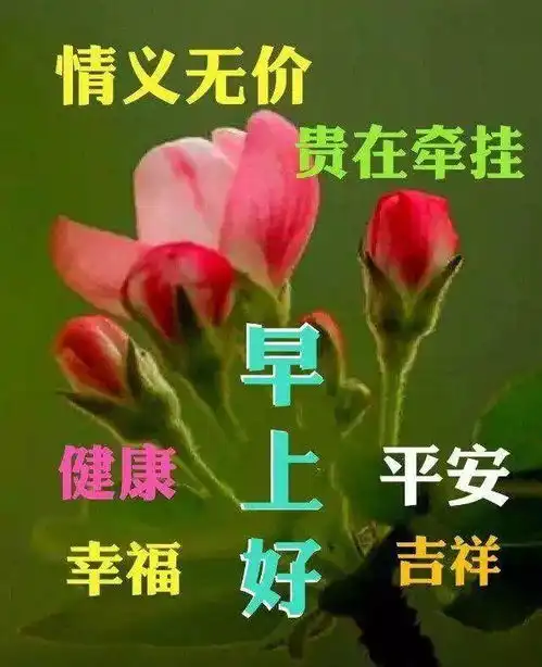  最新早上好问候语及关心话,2021年清晨问好的句子动态表情动画图