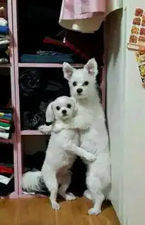  人在囧图141女生宿舍竟然是这样的