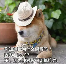  柴犬土味情话表情包合集你知道我的缺点是什么吗