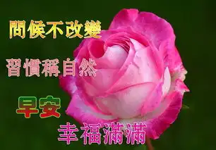 无语言表情包问候语