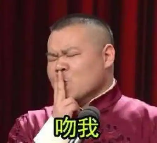  贱贱的岳云鹏表情包