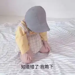  跟对象认错的表情包