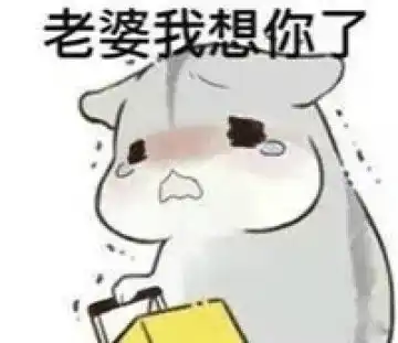  仓鼠夫妻