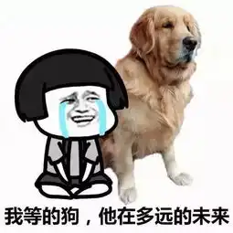  单身狗用韩语怎么说