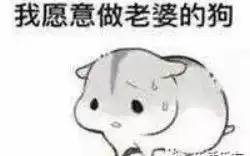  穿越火线手游论长腿小姐姐能坚持几分钟