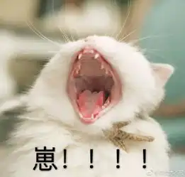  动物啊的那个表情包