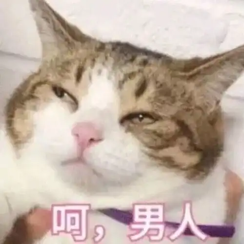 这部新剧告诉我们,男人都是大猪蹄