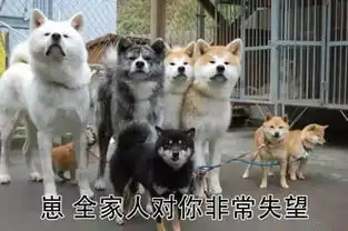  报告,我们爸妈可能都是假爸妈
