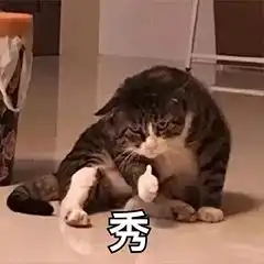  固体胶面膜这波脑洞我服,妲己妹妹王丽坤都拿我没办法