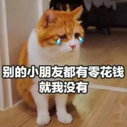  跟爸妈要生活费的可爱表情包
