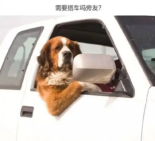  好好活下去每天都有新打击
