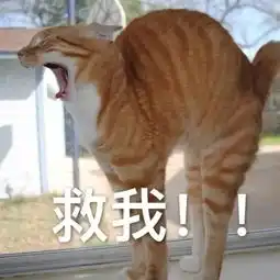 我的嗓子哑了表情包