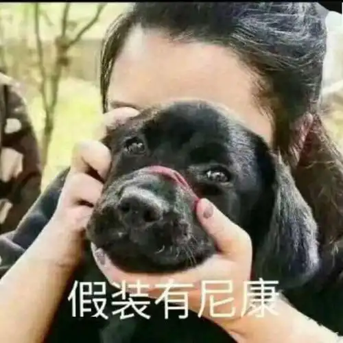  行业科普文解答你多年的翻唱版权疑惑