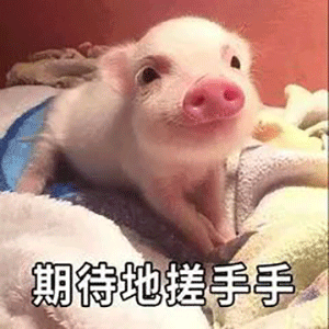  期待的搓手手表情包合集