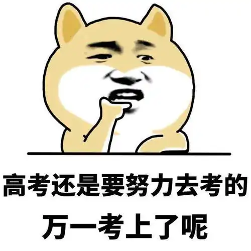  把握后高考时代的留学新选择
