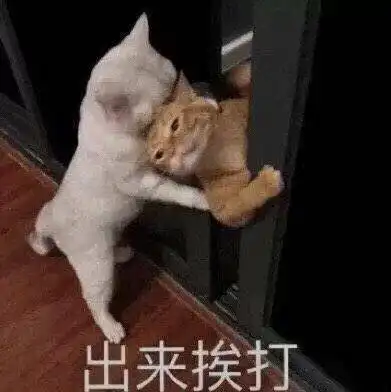  日常表情包你没有天线,我无法跟你解释the