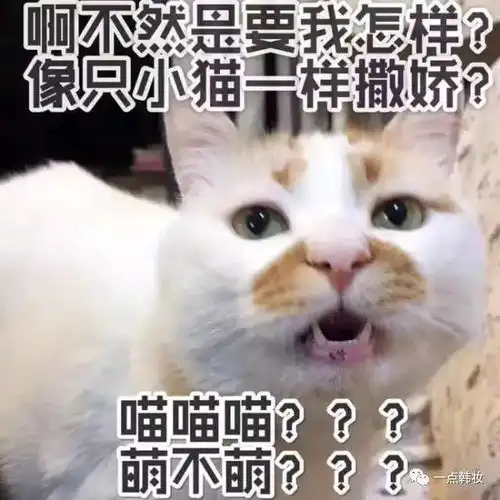  网红产品素颜霜到底值不值得买