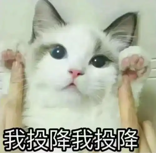  安利是什么意思呢