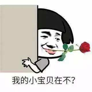  阳光洒满沈阳大地开启十一月未来两天温度还要