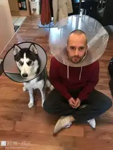  小哥与自家的戏精二哈拍了张同款表情包后,全世界的铲屎官都拉上汪开始自拍...