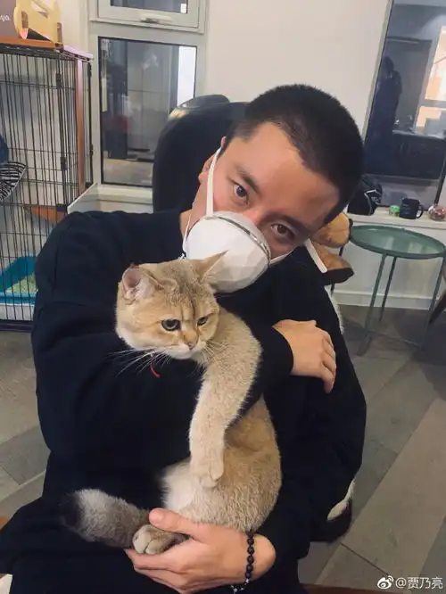  贾乃亮晒宠物狗照片,自称哥哥叫小狗宝贝,还为起名纠结