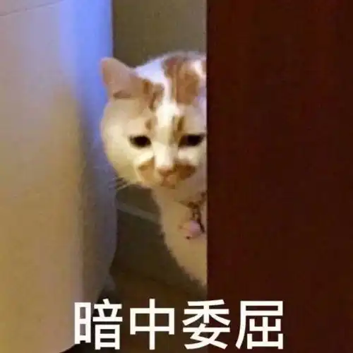  sa手账圈瓜田持续更新