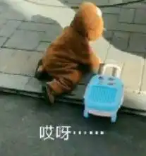 当场击毙表情包表情包