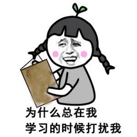  会计专硕mpacc高分学姐经验分享如何正确做好学习规划