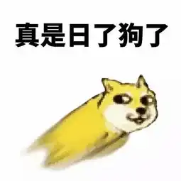 意境美图动物大海搞笑gif暴走漫画堆糖,美好生活研究所
