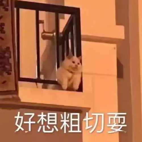  聊天斗图表情包i发出猛男的声音