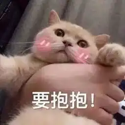  抱抱的表情包我真的不胖,不信你抱抱我