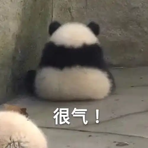  宋祖儿被曝偷税4500万,工作室至今未发声,税务总局回应了