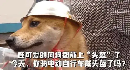  惊险一幕佛山男子被货车带倒,一样东西救他性命