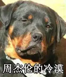  周冬雨的凝视马思纯的微笑互黑模式开启这些表情包真是一个比一个形象...