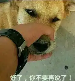  握狗嘴别说了表情包